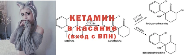 крисы Абинск