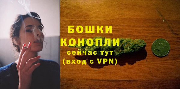 прущие грибы Абдулино